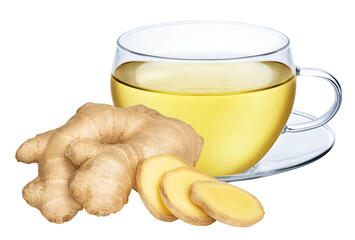 Cup of ginger tea isolated on white or transparent background. Herbal hot drink with ginger root.