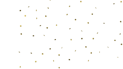 Confetti photo overlays, birthday holiday confetti, photoshop overlays, wedding, glitter dust, png