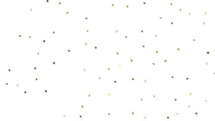  Golden Confetti's