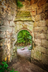 Rosslyn Castle Forest Entry - 598333887