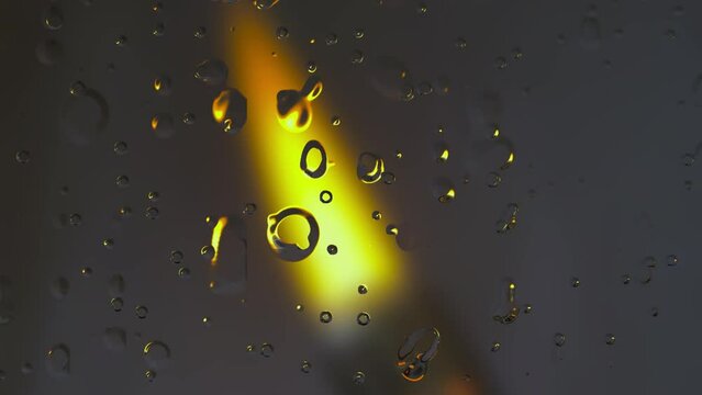 rain drops on the window