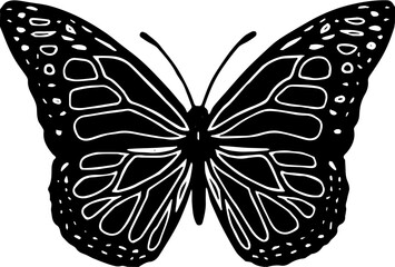 butterfly illustration
