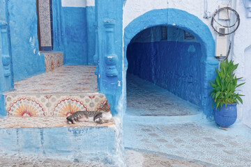 De belles photos de Chefchaouen, un village du nord du Maroc