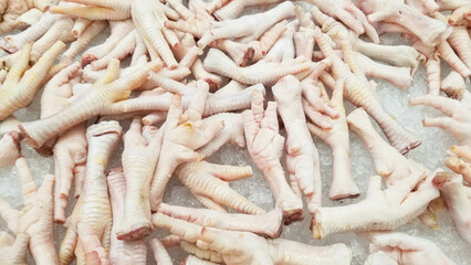 Raw and very fresh chicken feet on ice