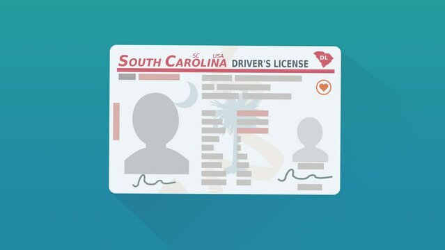 Animation loop of a hand placing a south carolina state driver's license in the middle of the screen in flat design style (blue background, alpha channel, transparency)