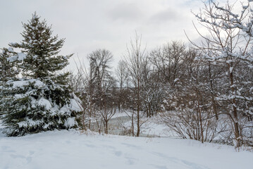 Fototapeta na wymiar Winter On A Small Frozen Creek In Wisconsin in Late January