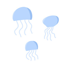 Jelly fish 