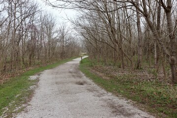 The long gravel path in the woods on a cloudy day.