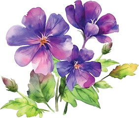 Violet flowers watercolor paint 
