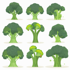 Illustrations of fresh, green broccoli heads in a variety of poses