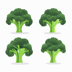 A collection of vibrant vector illustrations featuring broccoli