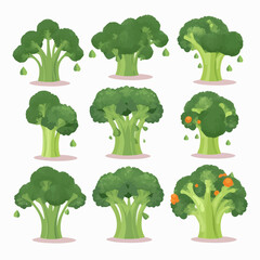 Vector images of broccoli florets and stalks, perfect for healthy food designs