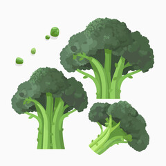 Vector broccoli illustrations in a variety of sizes and positions for versatile use