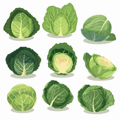 Simple and minimalistic cabbage and vegetable line art set