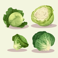 Whimsical cabbage and vegetable cartoon character set