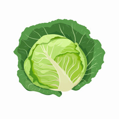 Fototapeta premium Simple and elegant cabbage outline collection