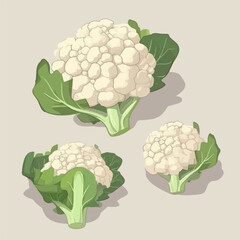 Collection of cauliflower illustrations with different expressions
