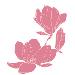 Magnolia group of flowers and buds blooming art. Hand drawn realistic detailed vector illustration. Pink and white outline clipart.