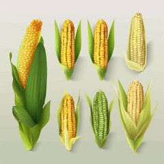 Colorful Corn vector patterns for your designs