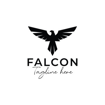 Eagle logo vector design, falcon logotype template, vector illustration