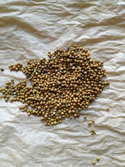 granular fertilizer close-up, long-acting fertilizer