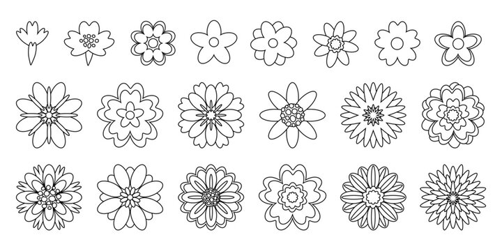Decorative flowers icon set. Spring summer collection. Vector isolated design elements for coloring page. Black and white line pictograms. Floral symbol, logo. tattoo.