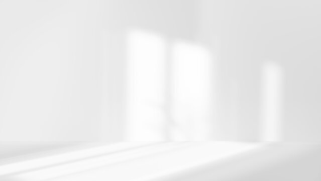 white studio room with sunlight and shadows background, empty white room place for design, white background