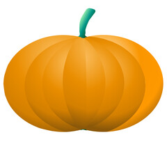 pumpkin on a white background