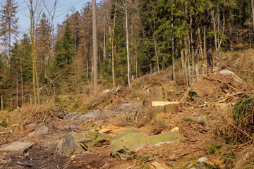 Zbocze Gór Stołowych © FotoWave Dawid Nowak