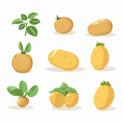 A collection of hand-drawn potato vectors for a whimsical touch.