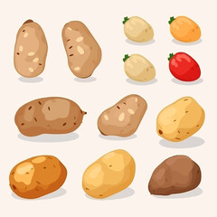 Pack of potato stickers in a glossy finish for a polished look.