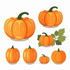 Set of vector illustrations portraying pumpkins in different settings, such as fields, farms, and autumn landscapes.