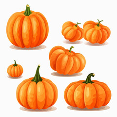 Set of vector illustrations capturing the different stages of pumpkin growth, from seed to fully grown.