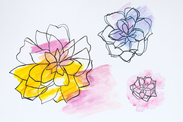 Watercolor painting vibrant color three flowers blooming various size on white textured paper