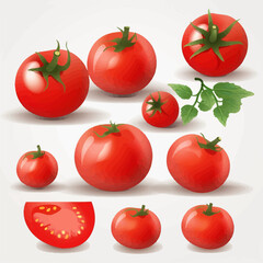 Set of vector illustrations featuring whole, sliced, and cherry tomatoes.