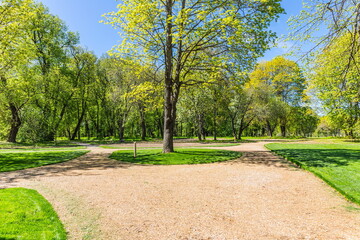 
Park of the estate 