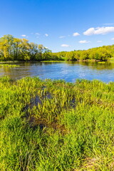 Bank of the Osetr River near Zaraysk, Russia