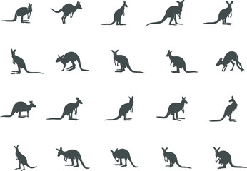 Kangaroo silhouettes, Kangaroo SVG, Kangaroo silhouette vector illustration.