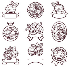 Walnut label and icon set. Collection icon walnut. Vector