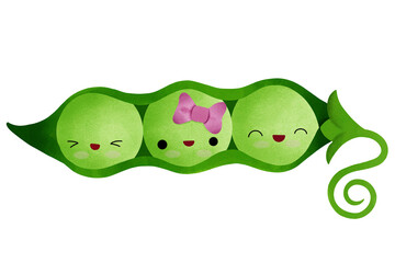 cute green pea watercolor illustration