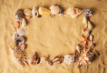 Seashells and starfish frame on sandy beach background with copy space