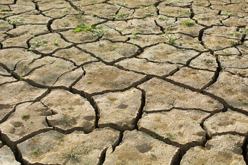 sequia, suelo cuarteado, suelo seco, suelo con grietas, agrietado.