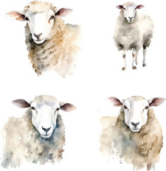 Sheep watercolor paint collection