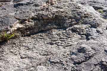 stone texture of rock