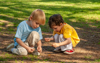 Children playing in the park