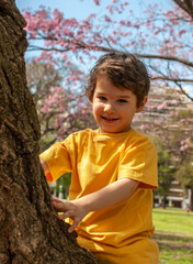 Cheerful boy sitting on a tree in the park
