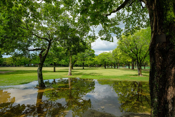 Views of the Ninomaru Park in Kumamoto on the Island of Kyushu, Japan.