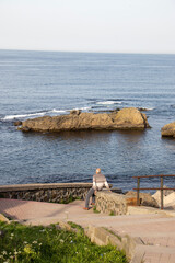 lighthouse on the coast