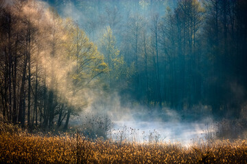 Wiosenna Rzeka w Mgłach 