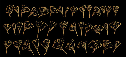 Set of gold, jewelry, shiny Ginkgo Biloba leaves on black background. Hand drawn illustration of maidenhair tree. Organic chinese suppliment. Ginkgo biloba leaf vector illustration. Generative AI